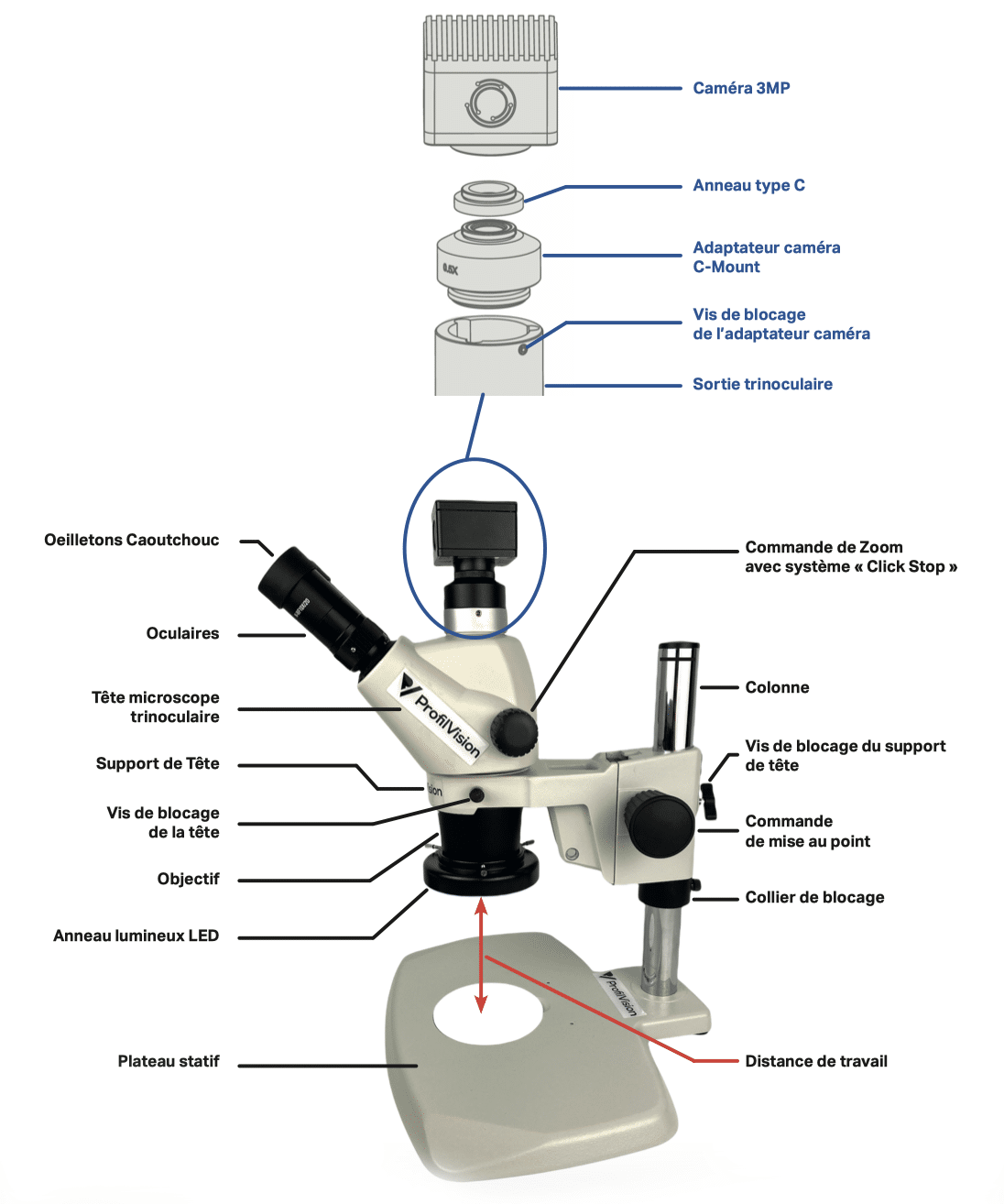 nomenclatures du profilvision